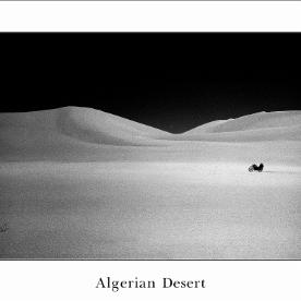 Algerian Desert - min