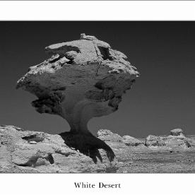 White-Desert - min